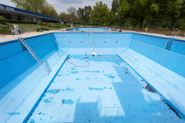 Best Water damage cleanup near me  in Holly, MI