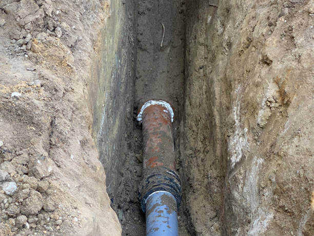 Best Flood restoration services  in Holly, MI