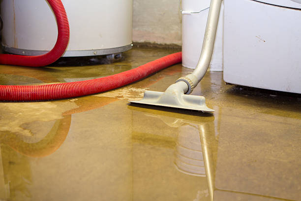 Best Flooded house restoration  in Holly, MI