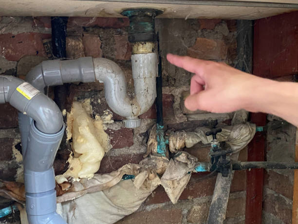 Best Water damage contractors near me  in Holly, MI