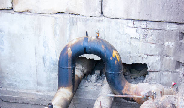 Best Flood damage cleanup  in Holly, MI