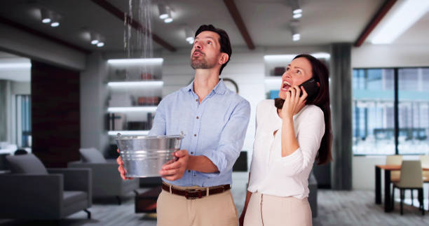 Best Professional water damage repair  in Holly, MI